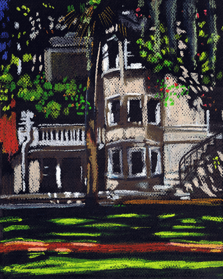 40. savannah_square whippet